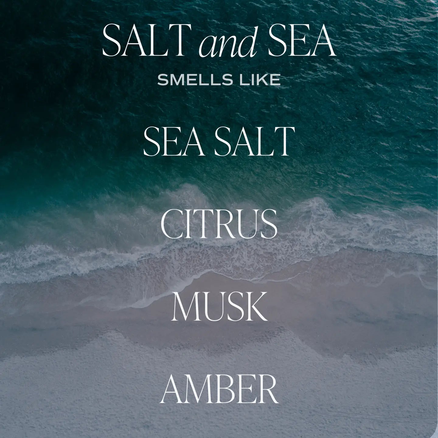 Salt and Sea 9 oz Soy Candle - Home Decor & Gifts