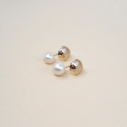 Cove Seashell Studs